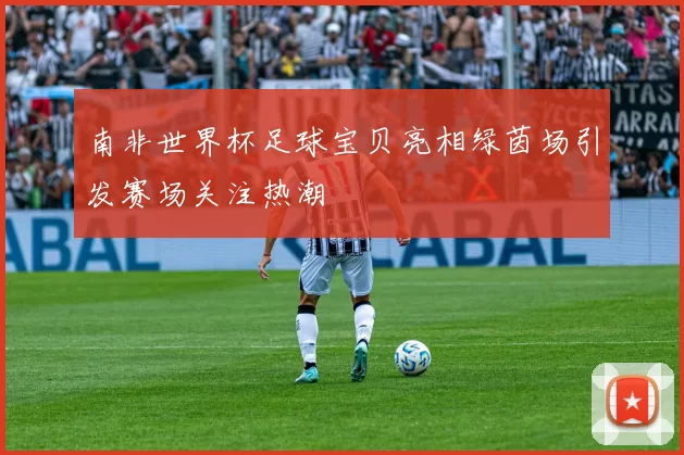 南非世界杯足球宝贝亮相绿茵场引发赛场关注热潮