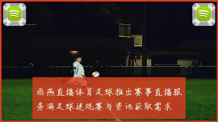 雨燕直播体育足球推出赛事直播服务满足球迷观赛与资讯获取需求
