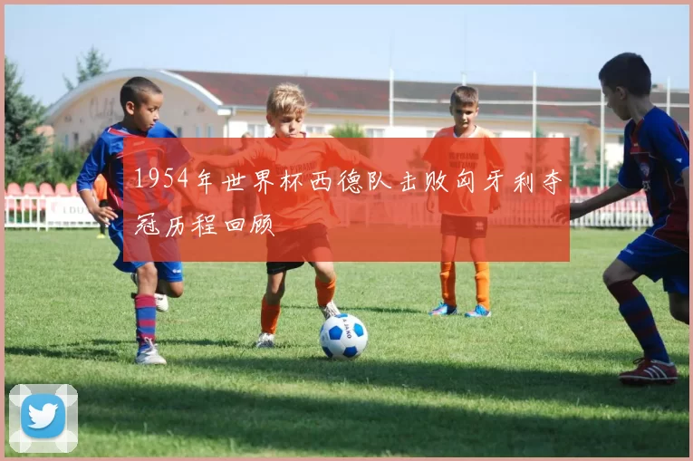 1954年世界杯西德队击败匈牙利夺冠历程回顾