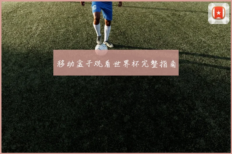 移动盒子观看世界杯完整指南