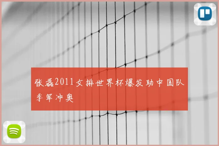 张磊2011女排世界杯爆发助中国队季军冲奥