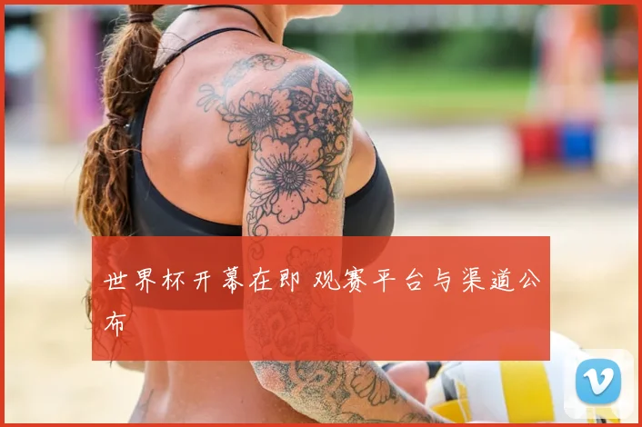 世界杯开幕在即 观赛平台与渠道公布
