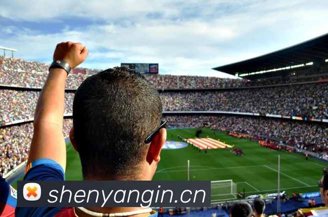 多媒体互动体验